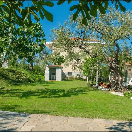Sunray Separate Villa Skala Sotiros Exterior foto